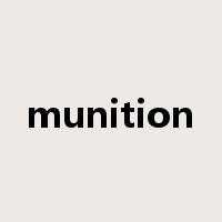 munition是什么意思