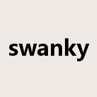 swanky是什么意思