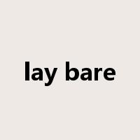 lay bare是什么意思