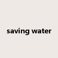 saving water是什么意思