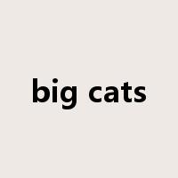 big cats是什么意思