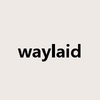 waylaid是什么意思