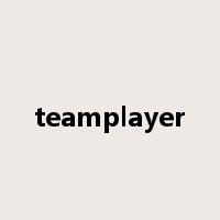 teamplayer是什么意思