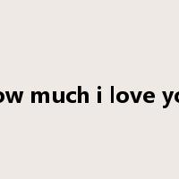 how much i love you是什么意思