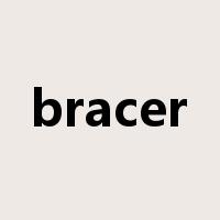 bracer是什么意思