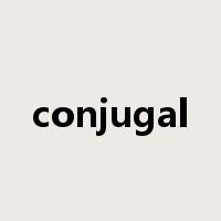 conjugal是什么意思