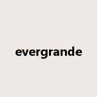 evergrande是什么意思