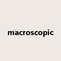 macroscopic是什么意思
