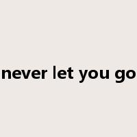 never let you go是什么意思