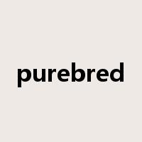 purebred是什么意思
