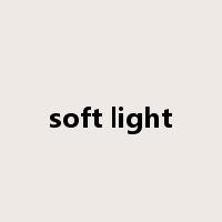 soft light是什么意思