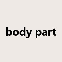 body part是什么意思