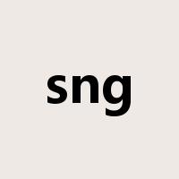 sng是什么意思