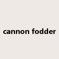 cannon fodder是什么意思