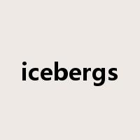 icebergs是什么意思
