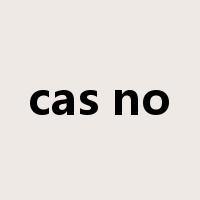 cas no是什么意思