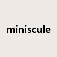 miniscule是什么意思