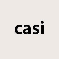 casi是什么意思