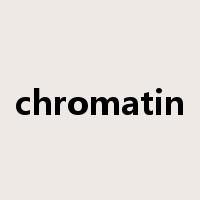 chromatin是什么意思