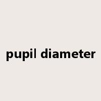 pupil diameter是什么意思