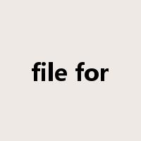 file for是什么意思