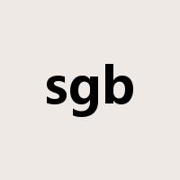 sgb是什么意思
