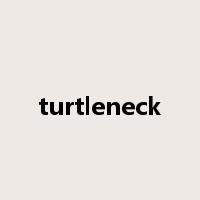 turtleneck是什么意思
