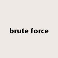 brute force是什么意思