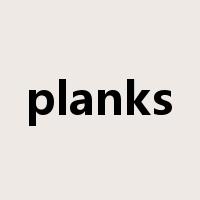 planks是什么意思