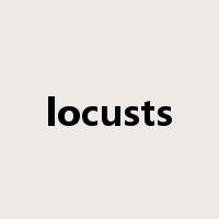 locusts是什么意思