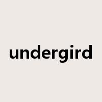 undergird是什么意思