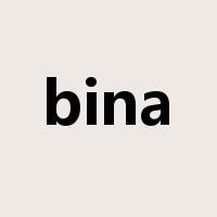 bina是什么意思