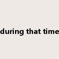 during that time是什么意思