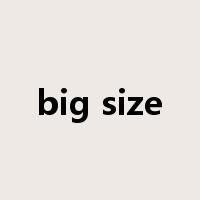 big size是什么意思