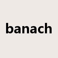 banach是什么意思