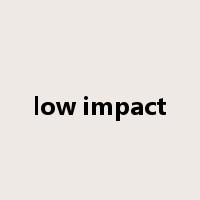 low impact是什么意思