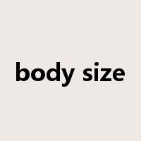 body size是什么意思