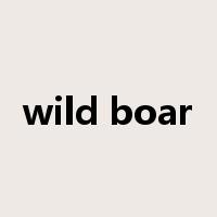 wild boar是什么意思