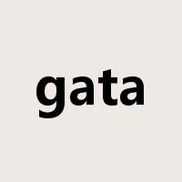 gata是什么意思