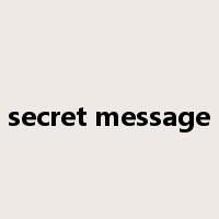 secret message是什么意思