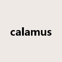 calamus是什么意思