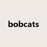 bobcats是什么意思
