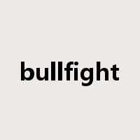 bullfight是什么意思