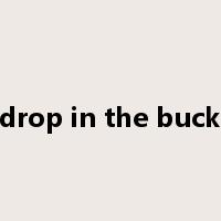 a drop in the bucket是什么意思