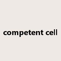 competent cell是什么意思