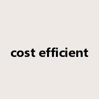 cost efficient是什么意思