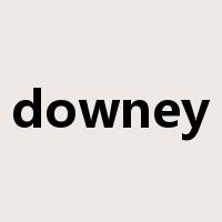downey是什么意思