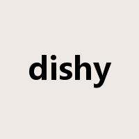 dishy是什么意思