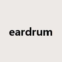 eardrum是什么意思
