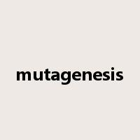 mutagenesis是什么意思